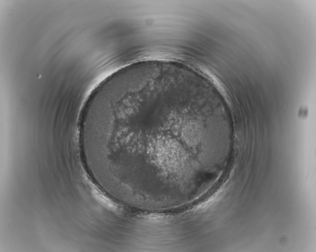 X0000094190779200711021027