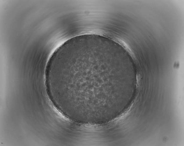 X0000094190780200711021027