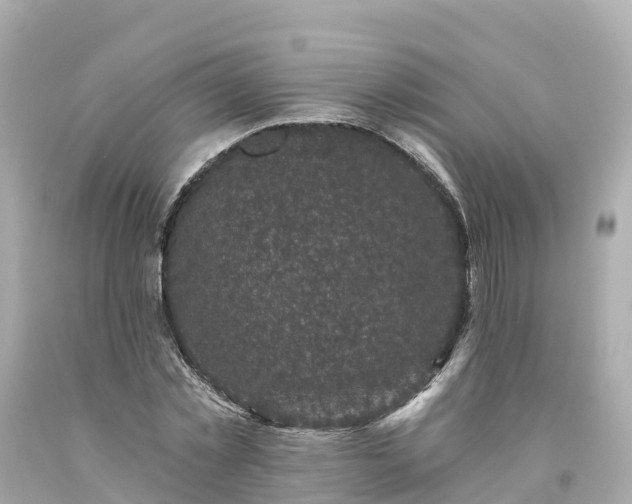 X0000094190781200711021027