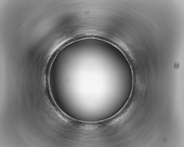 X0000094190782200711021027