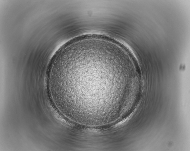 X0000094190783200711021027