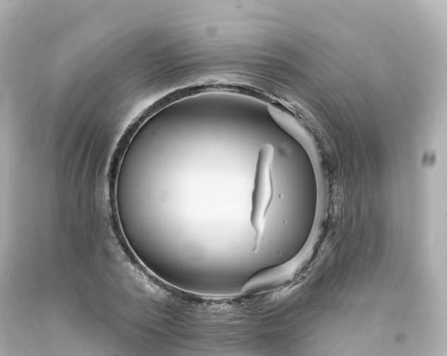 X0000094190784200711021027