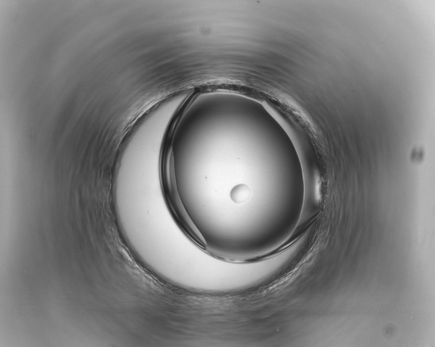 X0000094190785200711021027