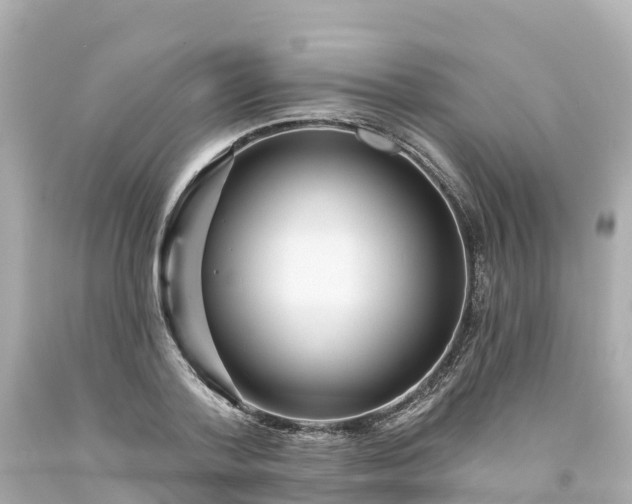 X0000094190788200711021027