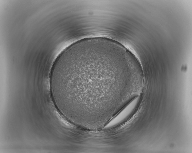 X0000094190789200711021027