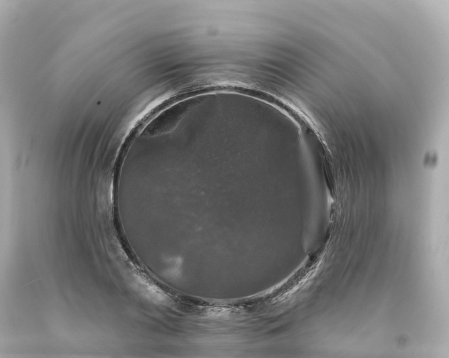 X0000094190790200711021027