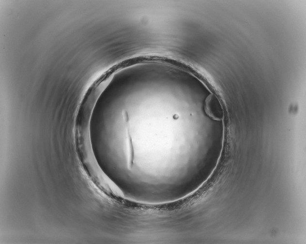 X0000094190791200711021027