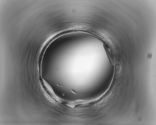 X0000094190792200711021027