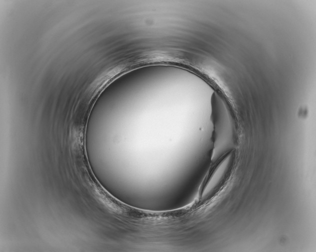 X0000094190793200711021027