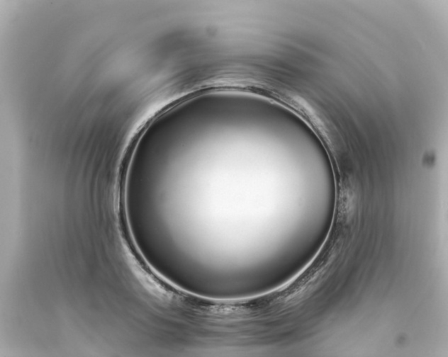 X0000094190795200711021027