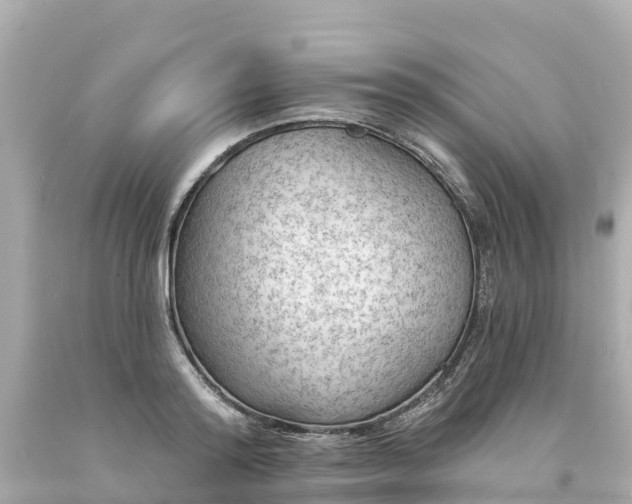 X0000094190796200711021027