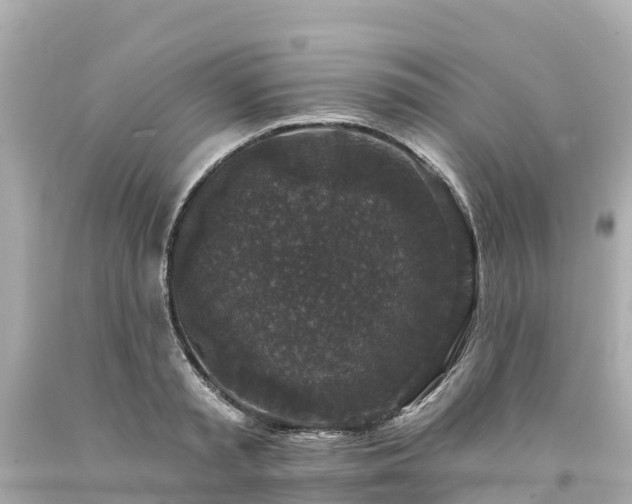 X0000094190797200711021027