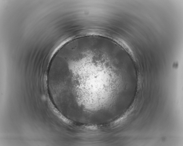 X0000094190798200711021027