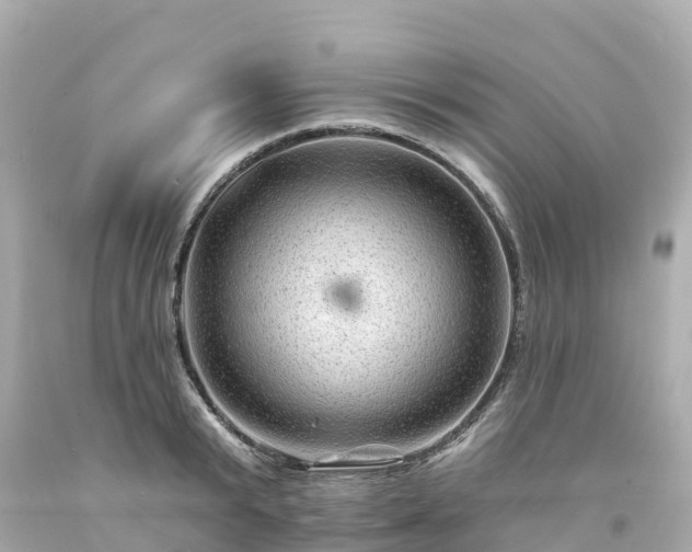 X0000094190799200711021027