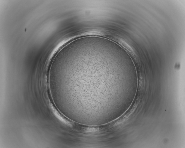 X0000094190800200711021027