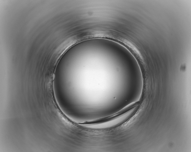 X0000094190801200711021027