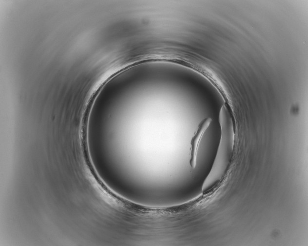 X0000094190803200711021027