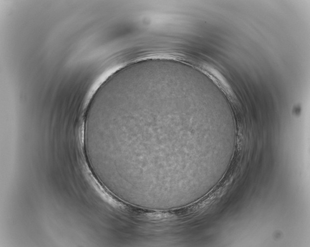 X0000094190804200711021027