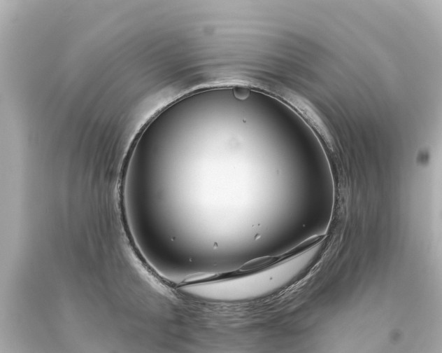 X0000094190805200711021027