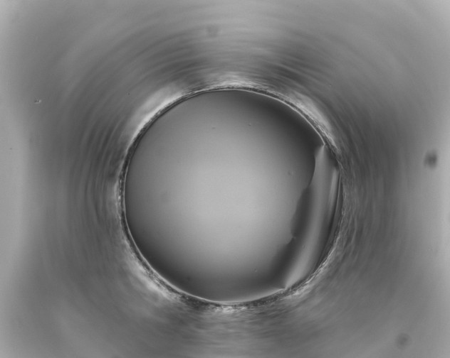 X0000094190806200711021027