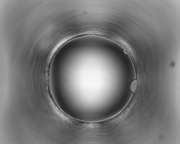 X0000094190808200711021027