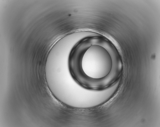 X0000094190809200711021027