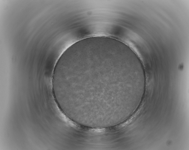 X0000094190810200711021027