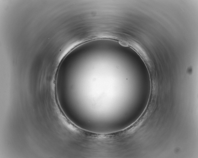 X0000094190814200711021027