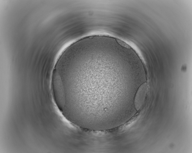 X0000094190815200711021026