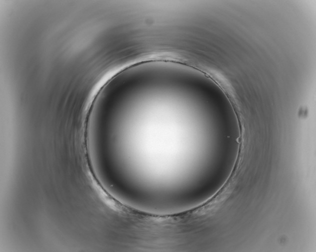 X0000094190816200711021026