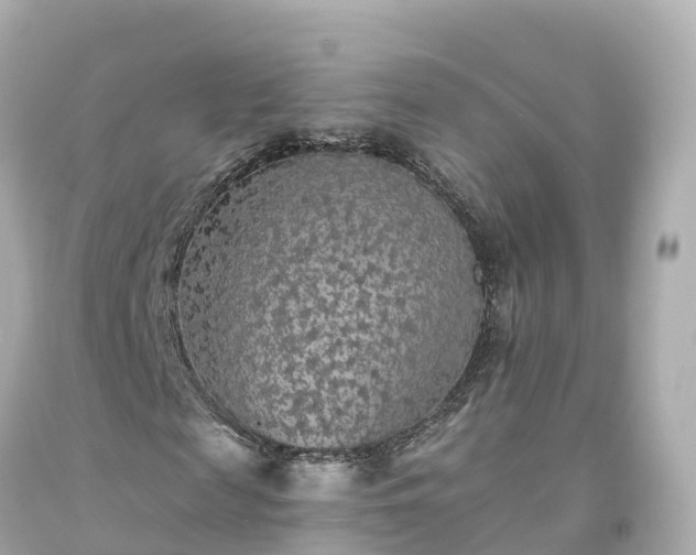 X0000094190817200711021025