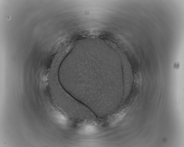 X0000094190818200711021025