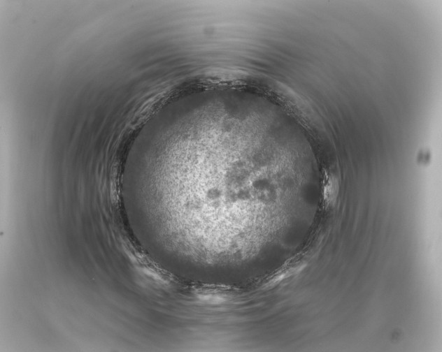 X0000094190819200711021026