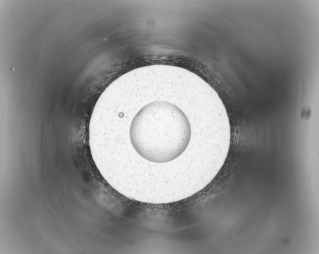 X0000094190820200711021026