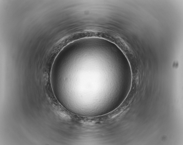 X0000094190821200711021026