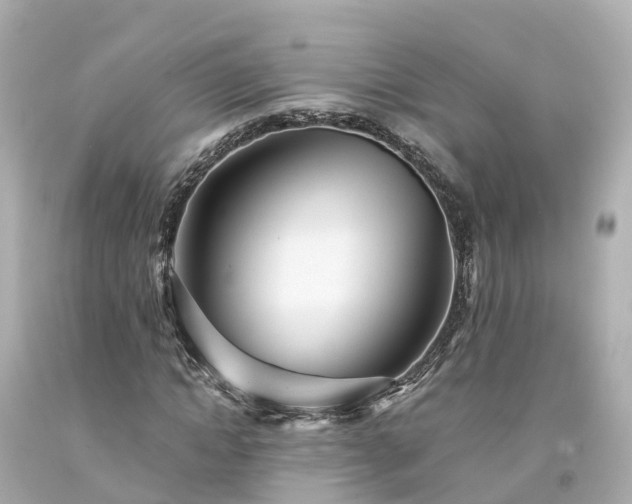 X0000094190822200711021026