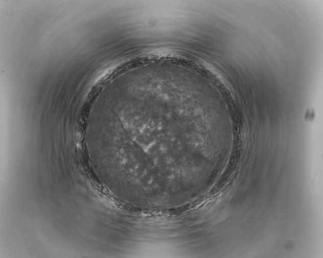 X0000094190823200711021026