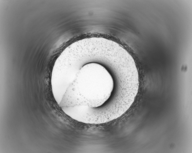 X0000094190824200711021026