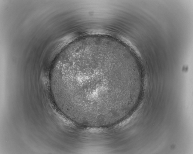 X0000094190825200711021026