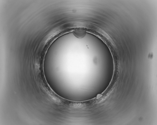 X0000094190826200711021026