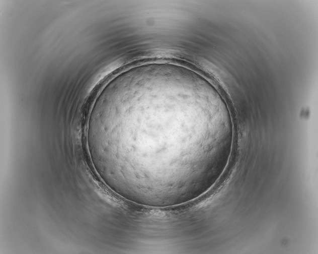 X0000094190827200711021026