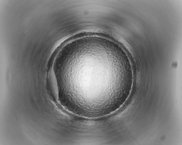 X0000094190829200711021026