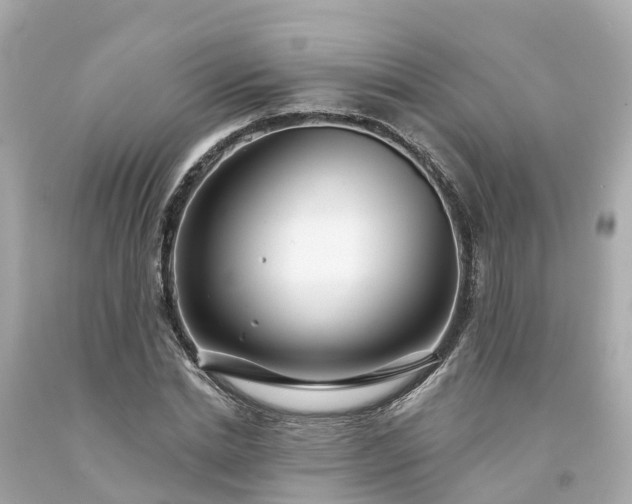 X0000094190830200711021026