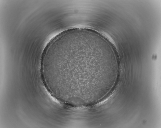 X0000094190831200711021026