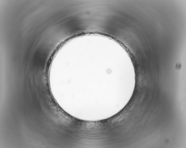 X0000094190832200711021026