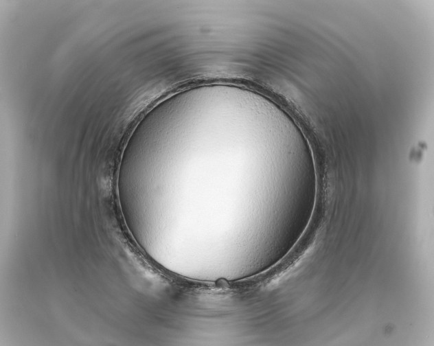 X0000094190833200711021026