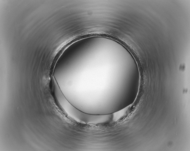 X0000094190834200711021026