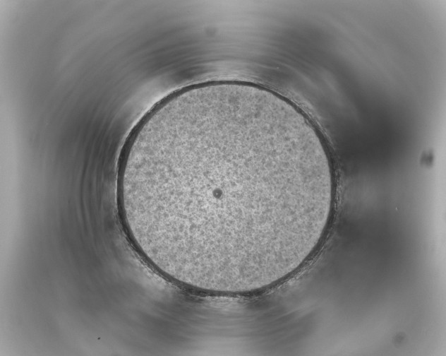 X0000094190836200711021026