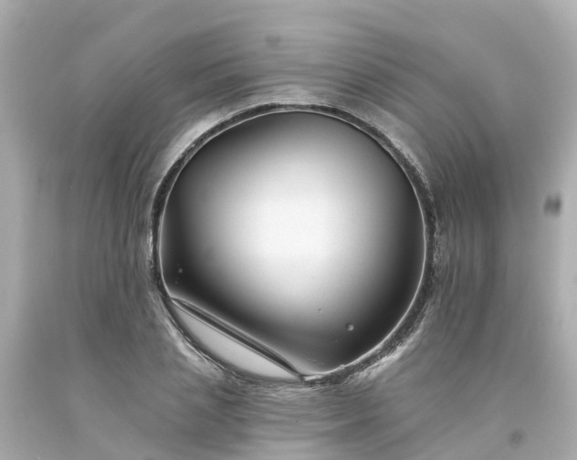 X0000094190837200711021026