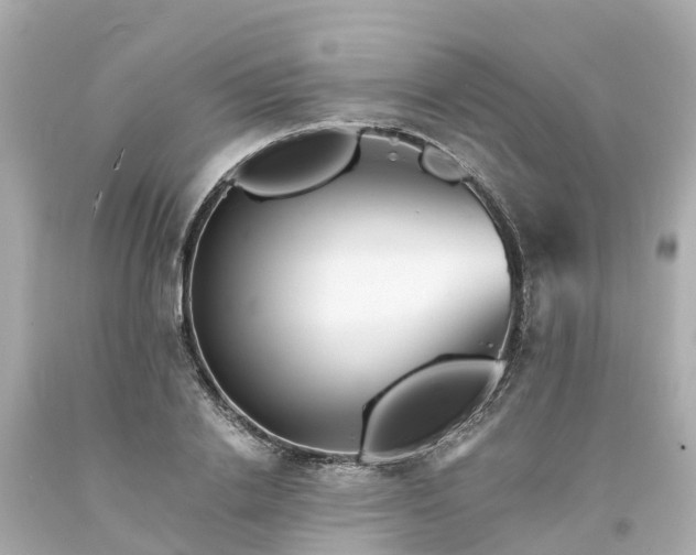 X0000094190838200711021026